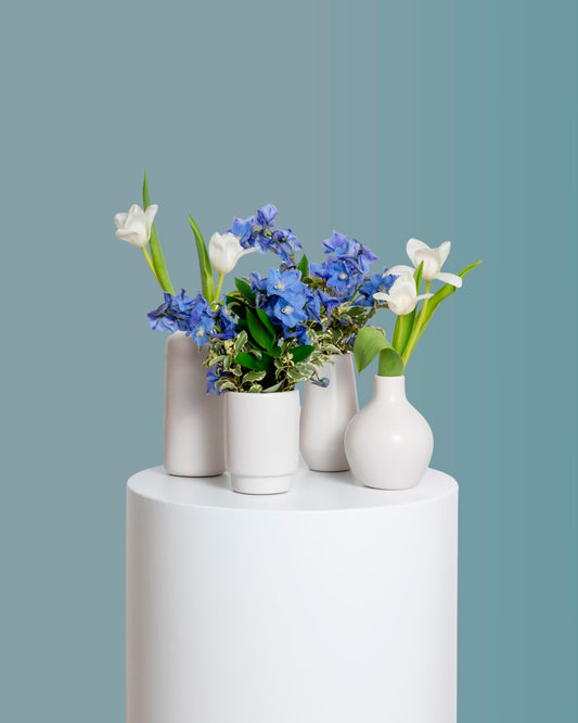 Acentos (Set de 4) - Colección Azul