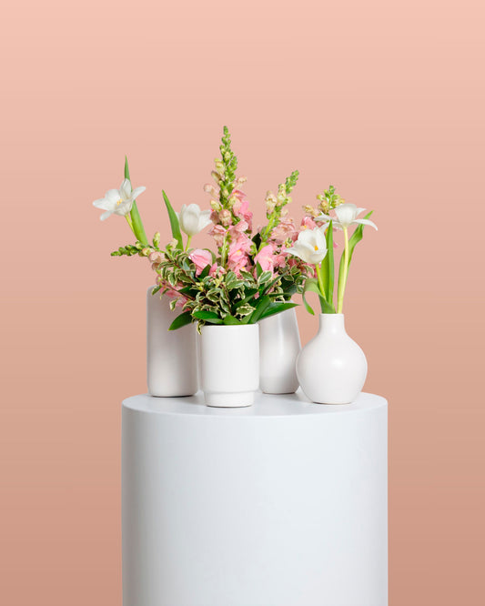 Accents (Set of 4) - Pink Collection