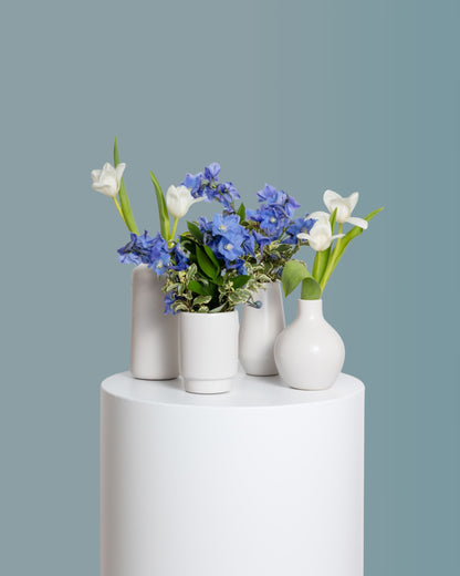 Accents (Set of 4) - Blue Collection