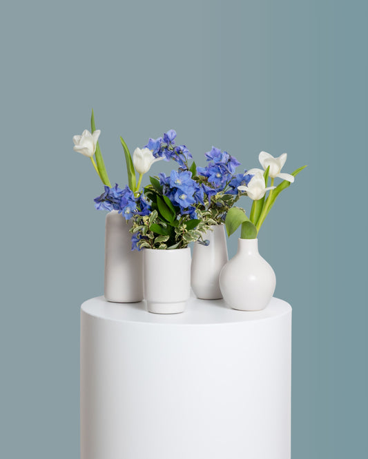 Acentos (Set de 4) - Colección Azul