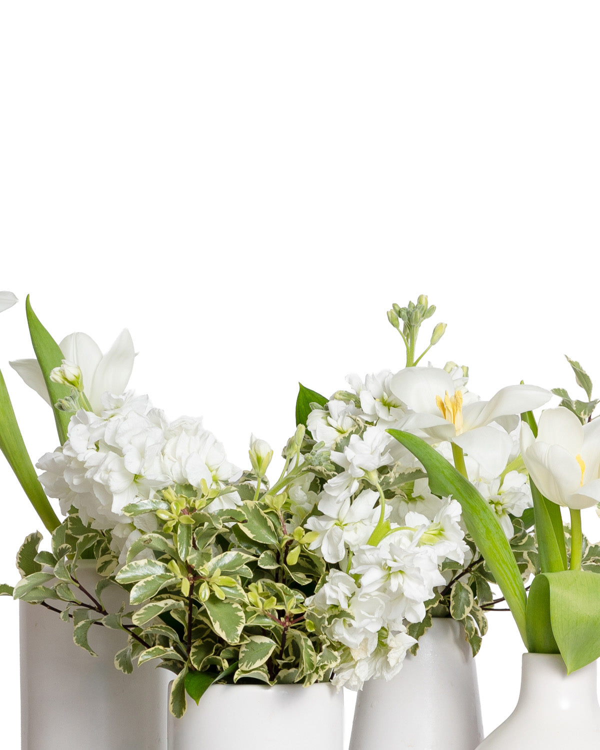 Acentos (Set de 4) - Colección Blanca