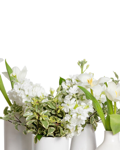 Acentos (Set de 4) - Colección Blanca