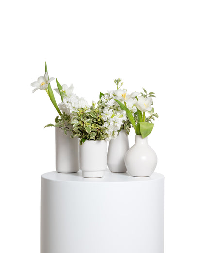 Acentos (Set de 4) - Colección Blanca