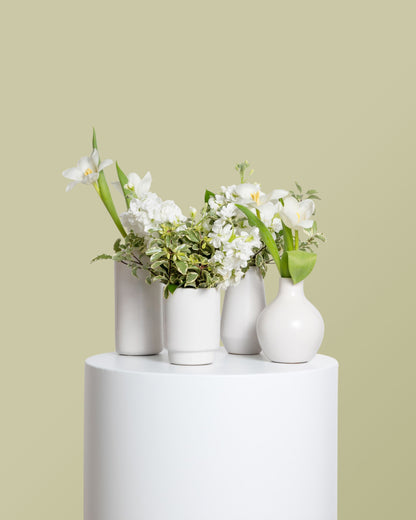 Acentos (Set de 4) - Colección Blanca