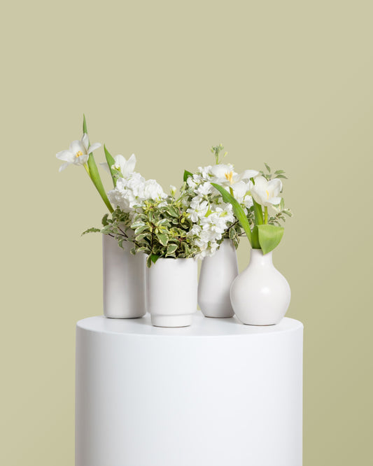 Accents (Set of 4) - White Collection