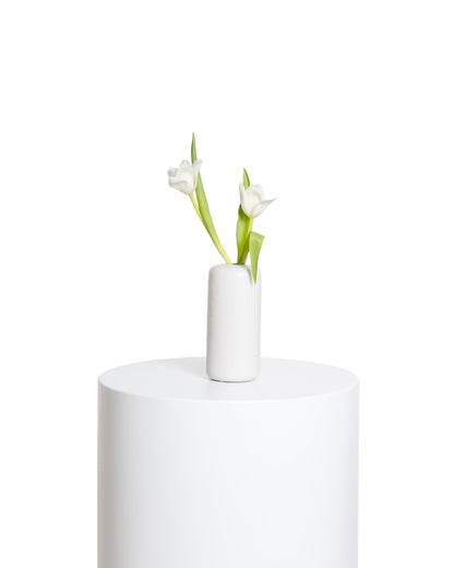Acentos (Set de 4) - Colección Blanca