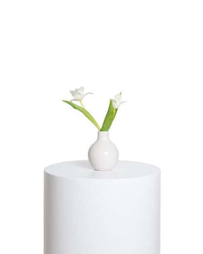 Acentos (Set de 4) - Colección Blanca