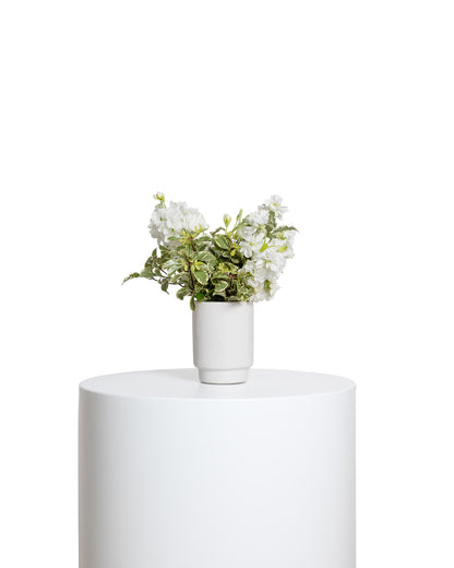 Acentos (Set de 4) - Colección Blanca