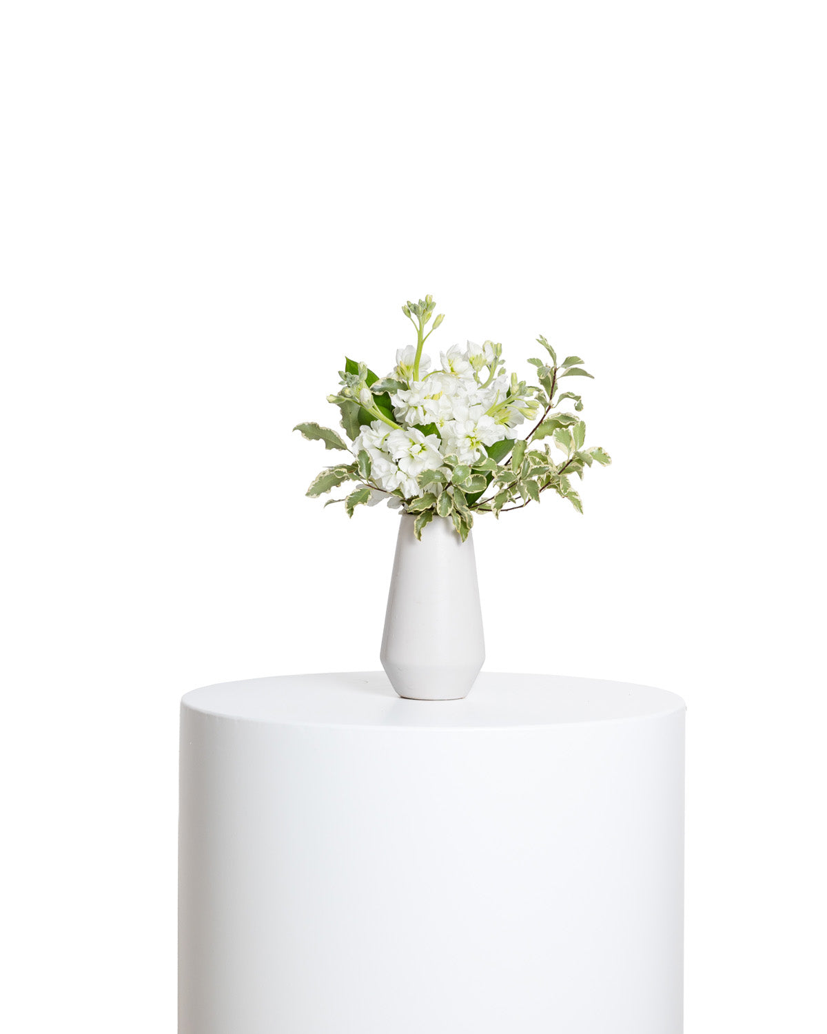 Acentos (Set de 4) - Colección Blanca