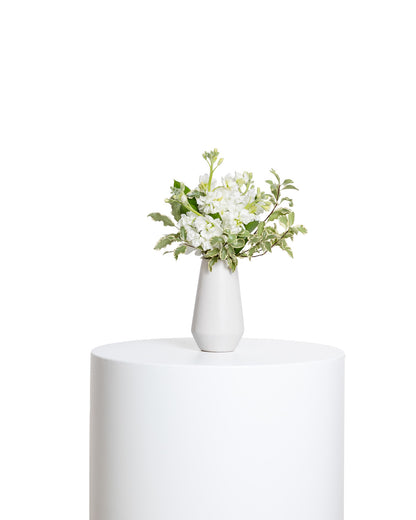 Acentos (Set de 4) - Colección Blanca