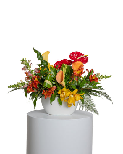 Centro de Mesa Alargado - Colección Tropical
