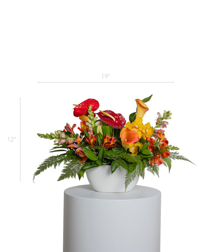 Centro de Mesa Alargado - Colección Tropical