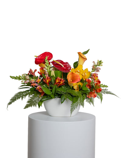 Centro de Mesa Alargado - Colección Tropical