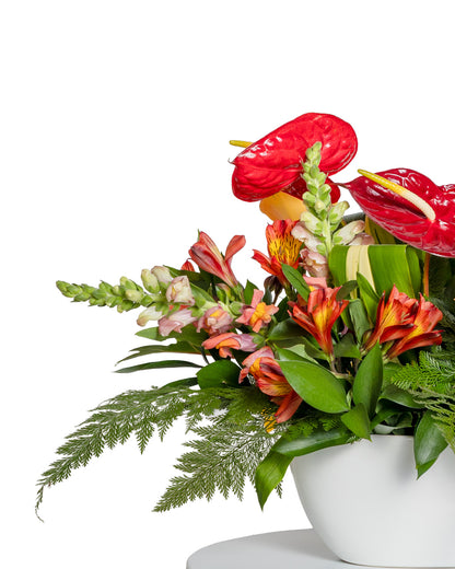 Centro de Mesa Alargado - Colección Tropical