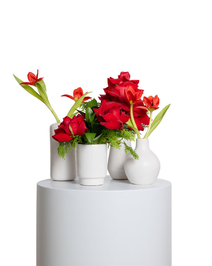 Acentos (Set de 4) - Colección Navidad