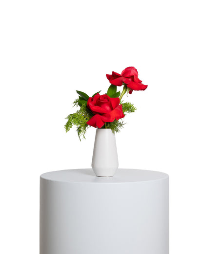 Acentos (Set de 4) - Colección Navidad