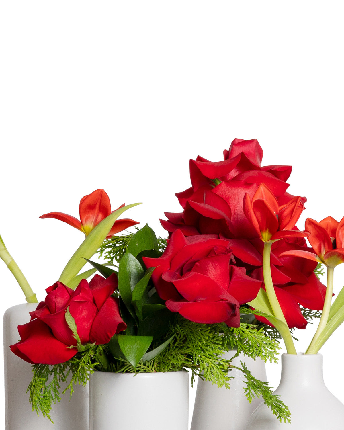 Acentos (Set de 4) - Colección Navidad