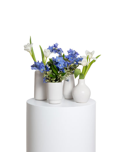 Accents (Set of 4) - Blue Collection