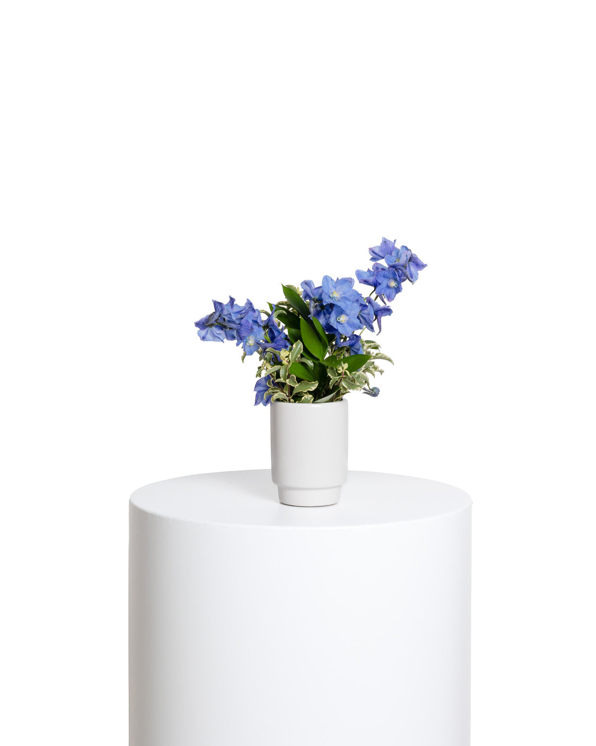 Accents (Set of 4) - Blue Collection