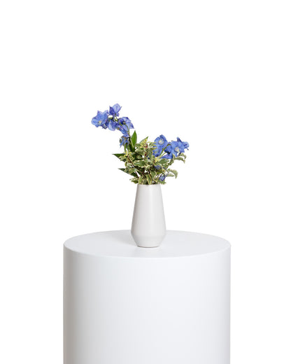 Accents (Set of 4) - Blue Collection