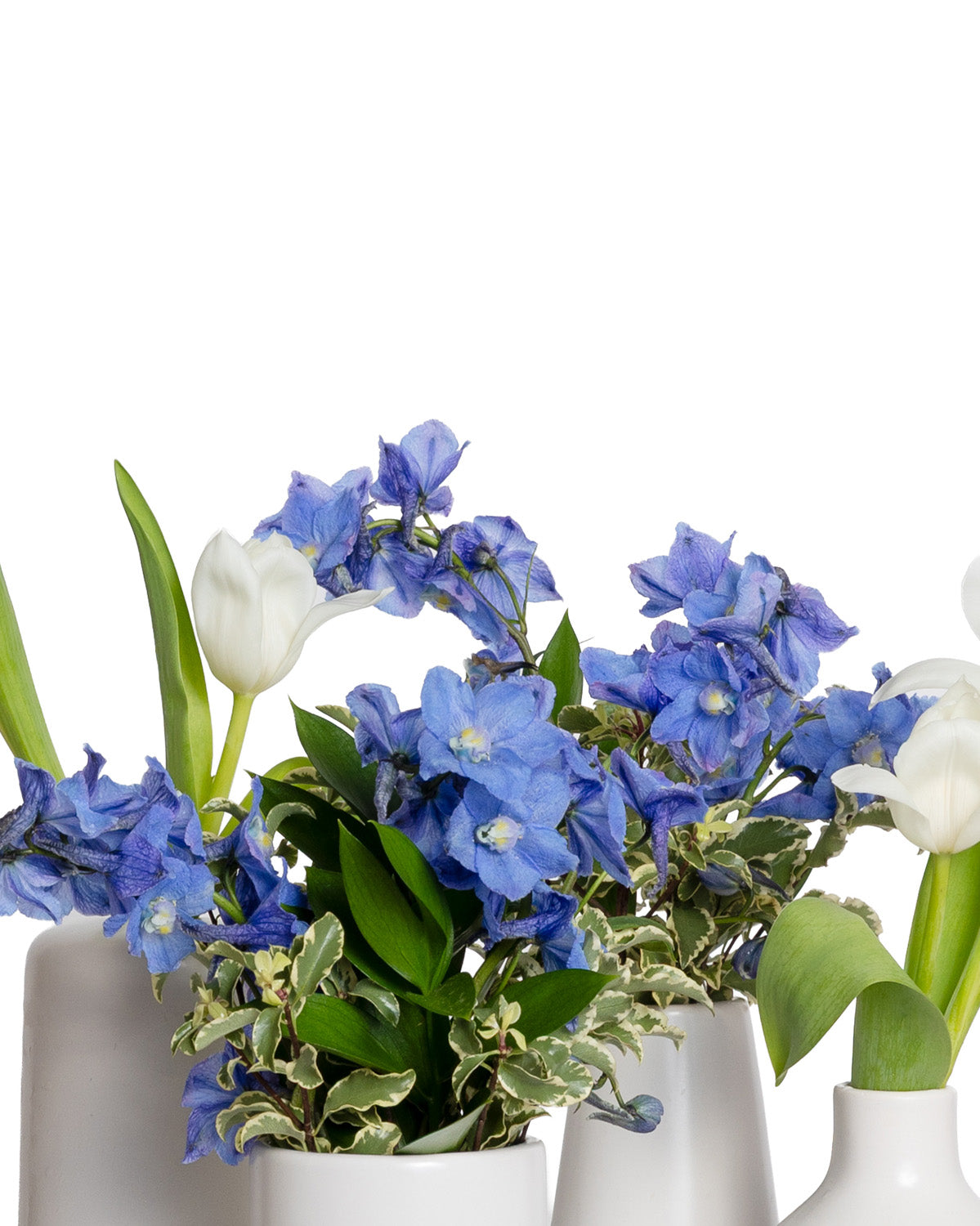 Accents (Set of 4) - Blue Collection