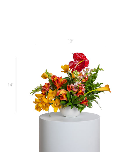 Centro de Mesa Mediano - Colección Tropical