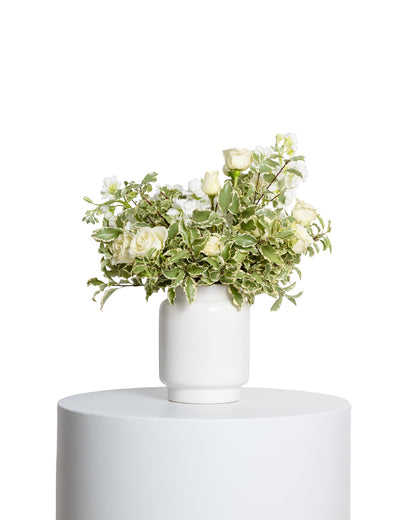 Centro de Mesa Pequeño - Colección Blanca