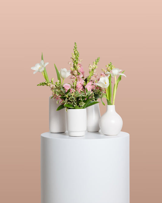 Acentos (Set de 4) - Colección Rosada