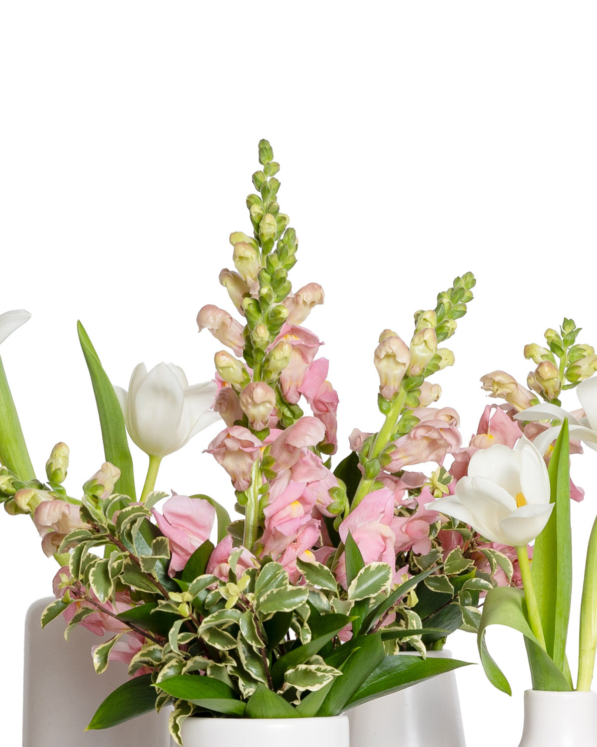 Accents (Set of 4) - Pink Collection
