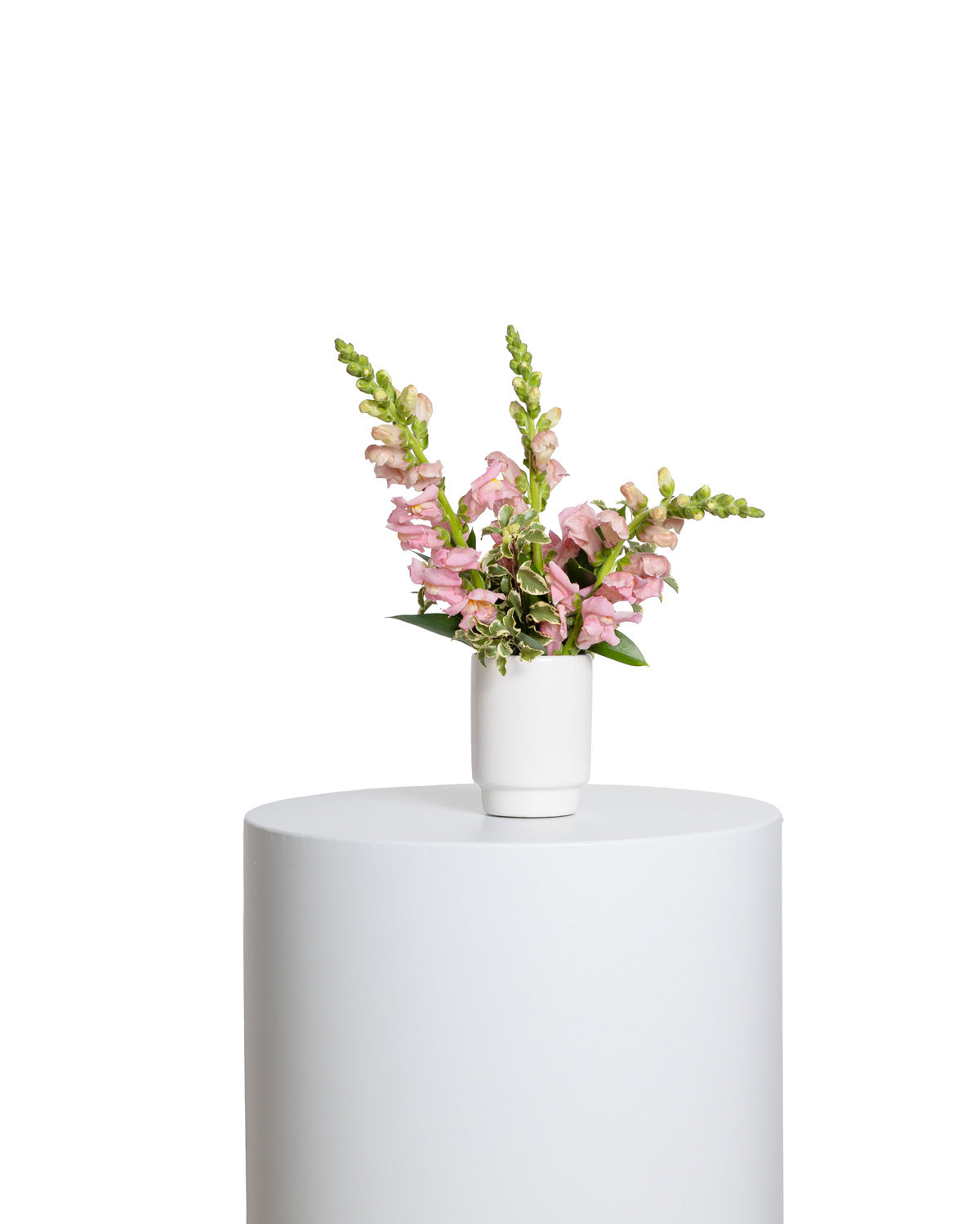Accents (Set of 4) - Pink Collection