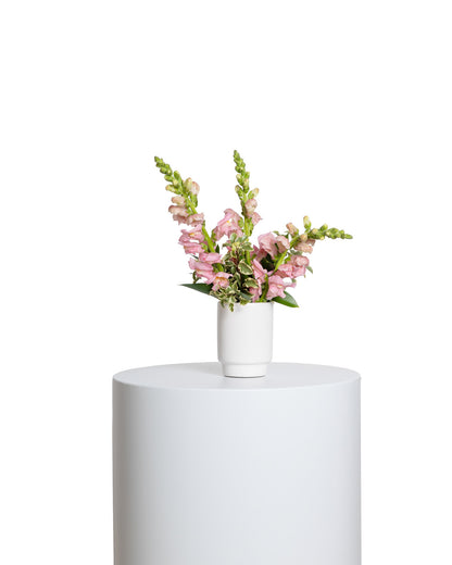 Accents (Set of 4) - Pink Collection