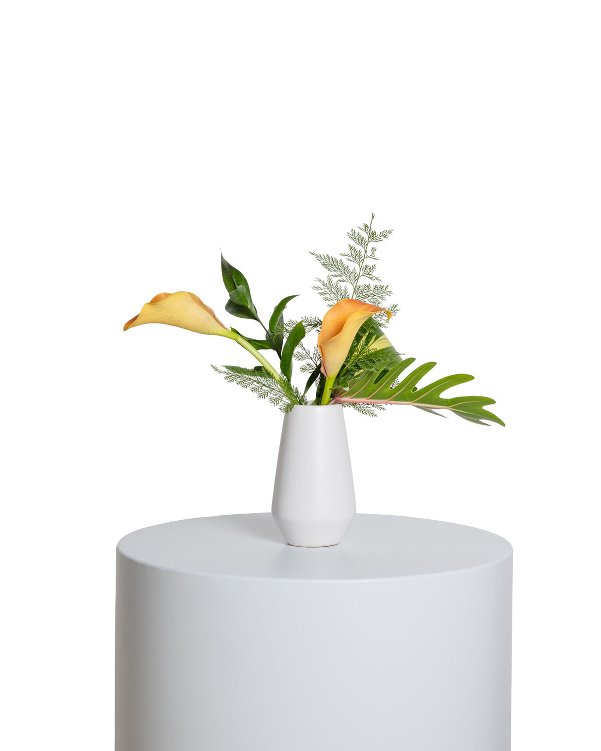 Acentos (Set de 4) - Colección Tropical